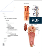 Kidney pathophysiology