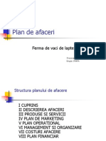 93906040 Plan de Afaceri