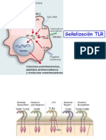 seminarios inmuno