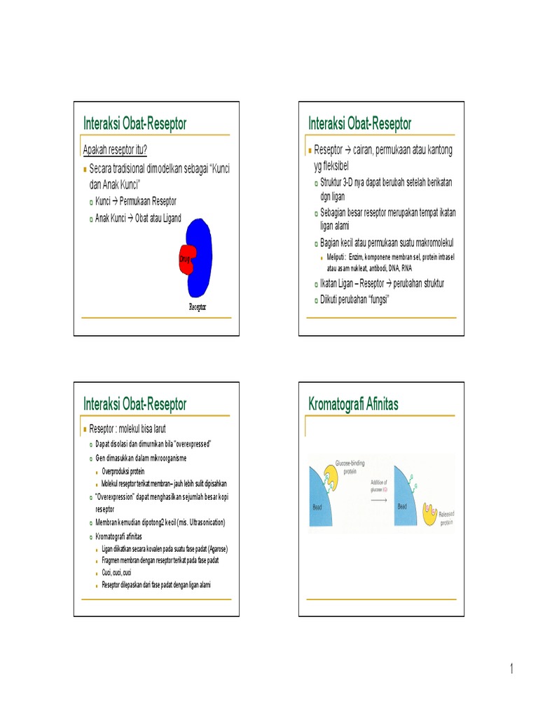 Teori Reseptor | PDF | Sains & Matematika