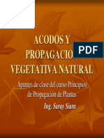 Acodos y Propagacion