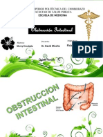 Obstruccion Intestinal