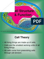 Cell Structure Function