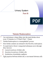 The Urinary System Part 2
