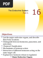 Download The Endocrine System Part 1 by rizwanbas SN19661336 doc pdf