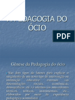 9 Pedagogia Do Ócio