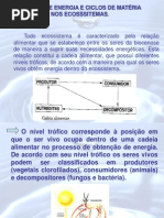 CIencias Do Ambiente CAP 7 e 8ANA PAULA