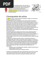 Citoesqueleto de Actina (Incompleto)