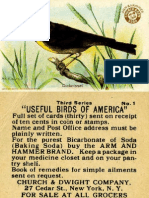 Birds of America 1