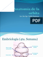 Anatomia de La Orbita