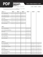 Workout Sheet-hybrid p90x San