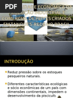 APRESENTAÇÃO-TANQUES-REDE