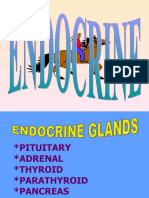 8. Endocrine