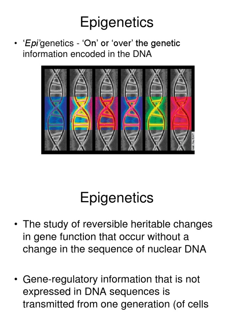 Epigenetics: - Epi'genetics - On' or Over' The Genetic Information ...