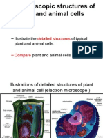 1.3 Microscopic Structures of Plant and Animal Cells: - Objectives