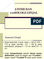 Anatomi-Ginjal KLP 5