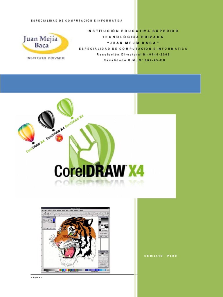 Corel Draw x4 | PDF