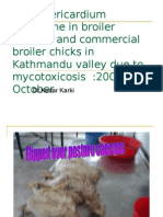 Hydro Pericardium Syndrome in Broiler Breeder and Commercial Broiler Chicks in Kathmandu Valley Due To Mycotoxicosis 2009 October