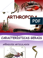 Arthropoda