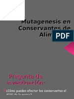 Mutagénesis en Conservantes de Alimentos