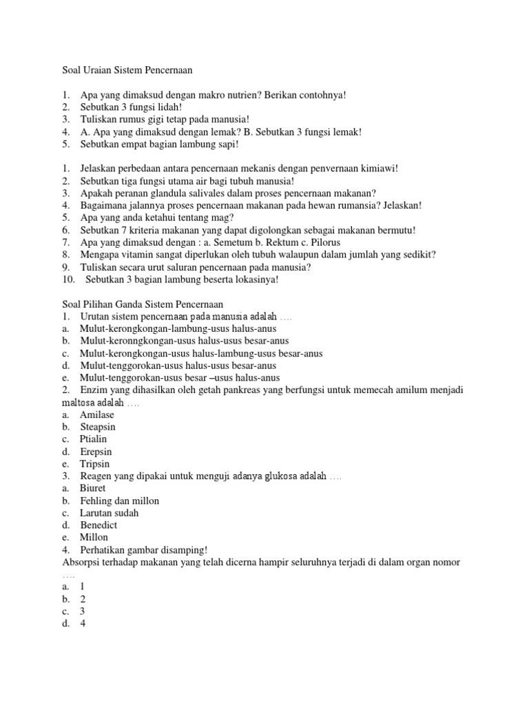 Soal Uraian Sistem Pencernaan