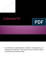 Linfocitos TH
