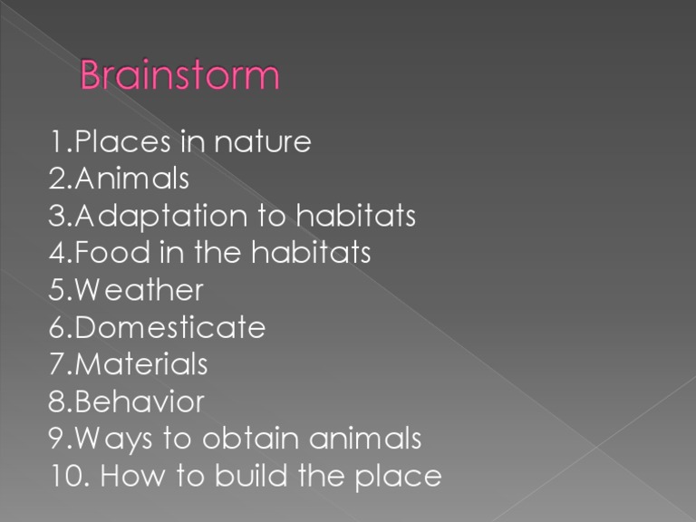 Brainstorm | PDF