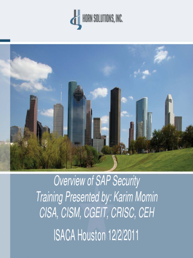 SAP Security Training ISACA 12-2-11 | PDF | Login | Password