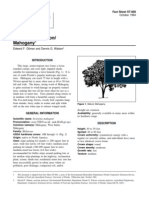 SWETENIA BING Hort Ufl Edu Database Documents PDF Tree - Fact - Sheets Swimaha