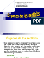 Organos de Los Sentidos