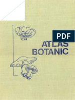 Atlas Botanic - Lucia Popovici 