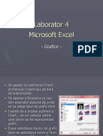 Laborator 4_grafice Excel Info