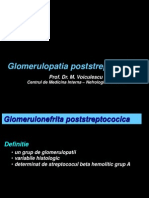 23520251-Glomerulopatia-poststreptococica