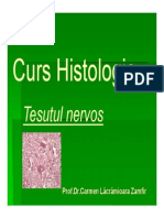 Curs 10 Nervos