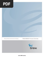 Download True Brew Process Overview by Mrunal Deo SN19764067 doc pdf
