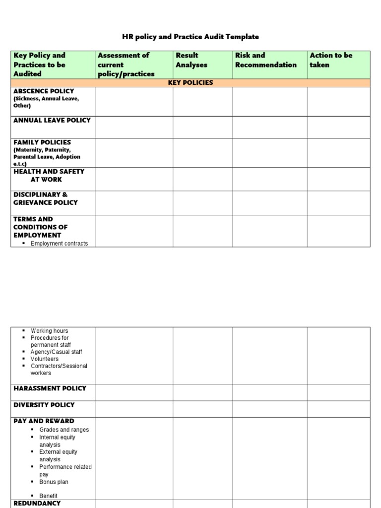 Key HR Audit Template | PDF | Business