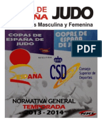 Normativa Copas Esp 2013-2014