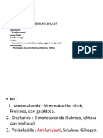 BIOMOLEKULER