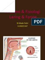 Anatomi Faring dan Laring