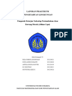 Download Pengaruh Deterjen Terhadap Pertumbuhan Akar Bawang Merah Allium Cepa by riza ummul khusniah SN19770325 doc pdf