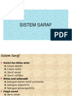 Sistem Saraf (B)