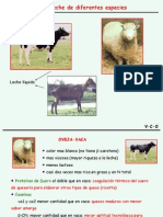 Leche de Diferentes Especies 2010 PDF