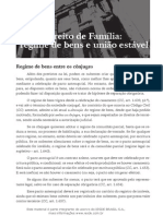 Direito de Família - regime de bens e união estável.pdf