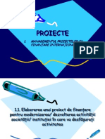 PROIECTE Master Investitii Si Manag Proiectelor