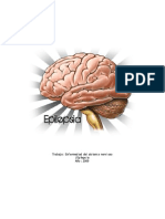 Enfermedad Del Sistema Nervioso - Epilepsia