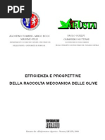 Raccolta Mecc Olive