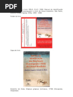 Desenhos de caranguejos