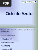 Ciclo+Do+Azoto
