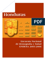 Informe ENDESA 2005-2006