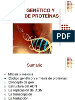 4.2 Código genético y síntesis de proteínas